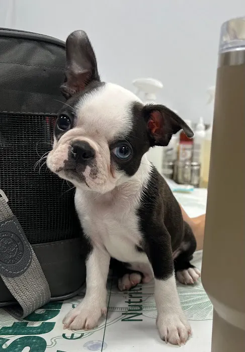 Longevity Veterinary Center 1