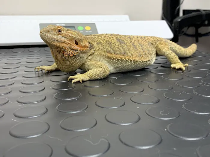 Longevity Veterinary Center 9