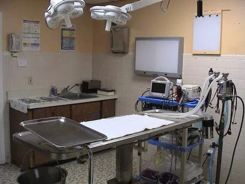 Whippany Veterinary Hospital and Animal Laser Center 2