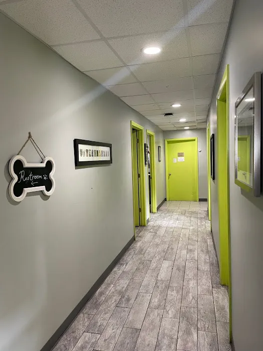 Veterinary Medical Center 1