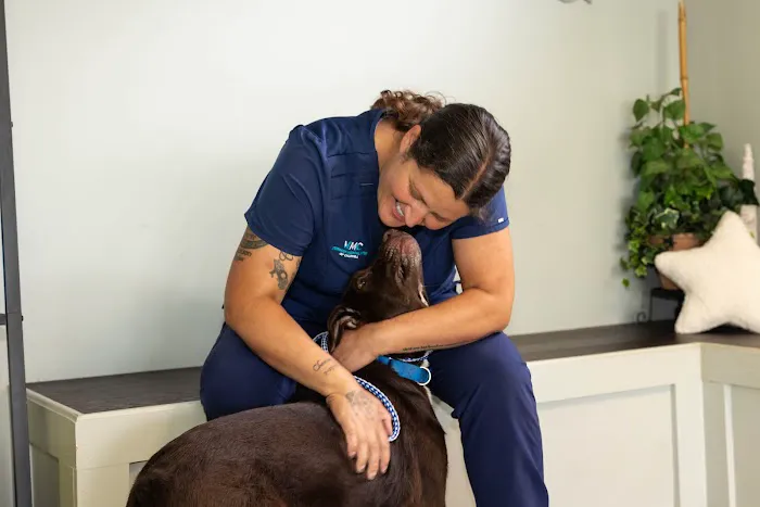 Veterinary Medical Center 5