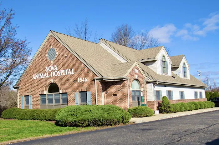 Sova Animal Hospital 1