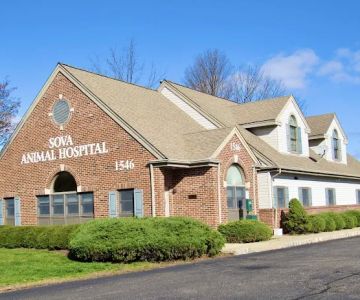 Sova Animal Hospital