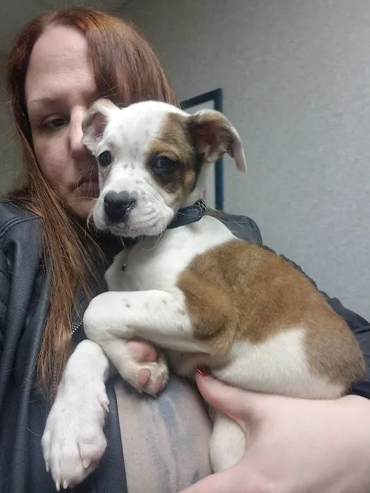 Sova Animal Hospital 5