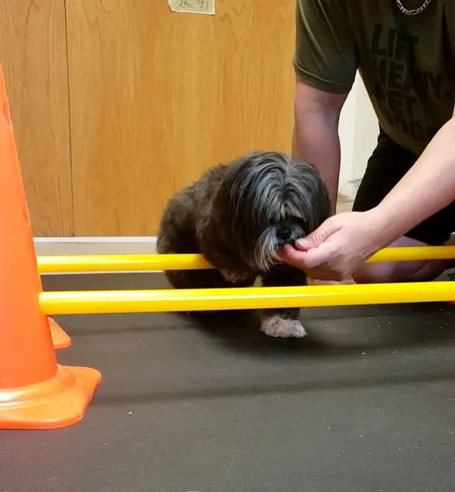 Valley Animal Rehabilitation 4