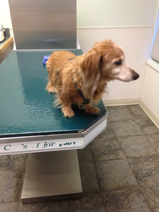Valley Animal Hospital 2