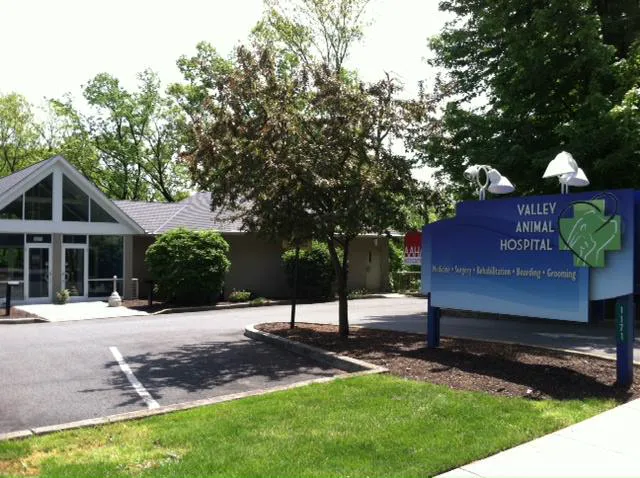 Valley Animal Hospital 4