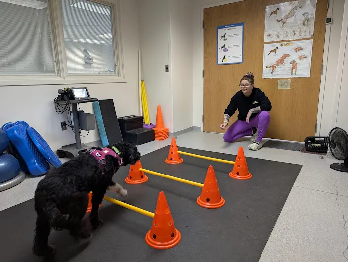 Valley Animal Hospital 5