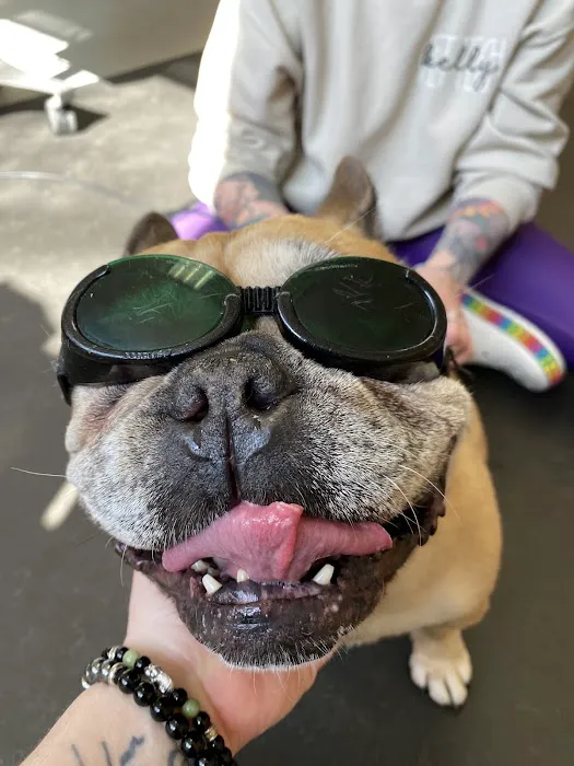 Valley Animal Hospital 10