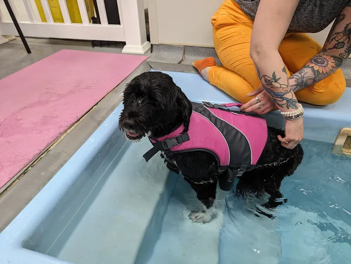 Valley Animal Hospital 7