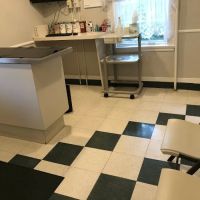 Roseland Animal Care ico