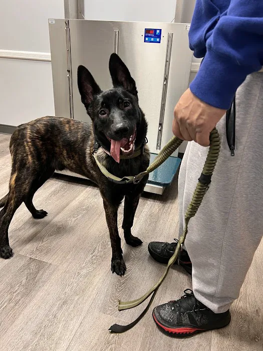 Franklin Lakes Animal Hospital 3