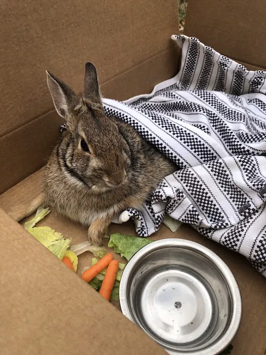Franklin Lakes Animal Hospital 7
