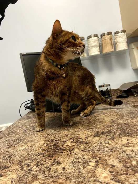 Franklin Lakes Animal Hospital 8