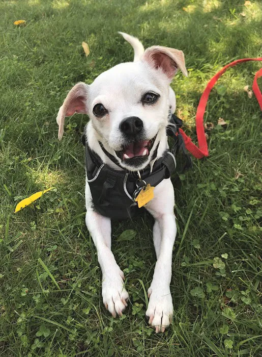 Franklin Lakes Animal Hospital 9