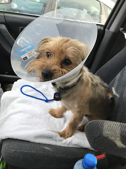 Franklin Lakes Animal Hospital 10