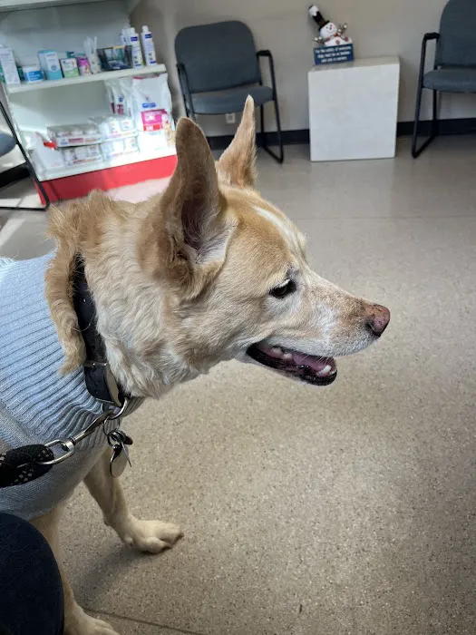 Verona Animal Hospital 3