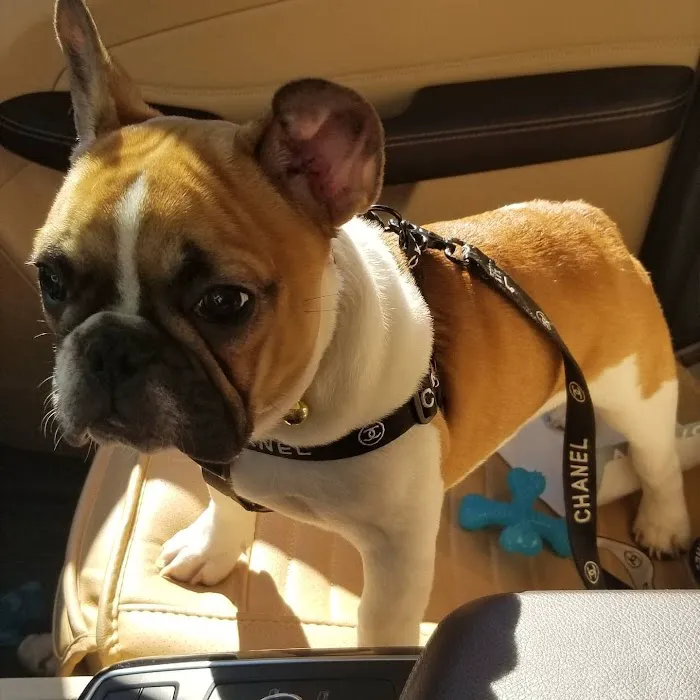 Verona Animal Hospital 2
