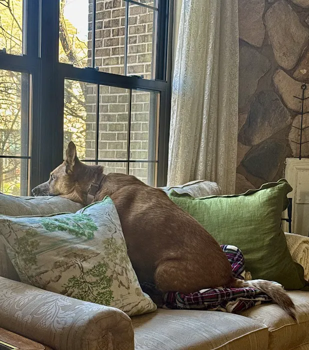 Verona Animal Hospital 6