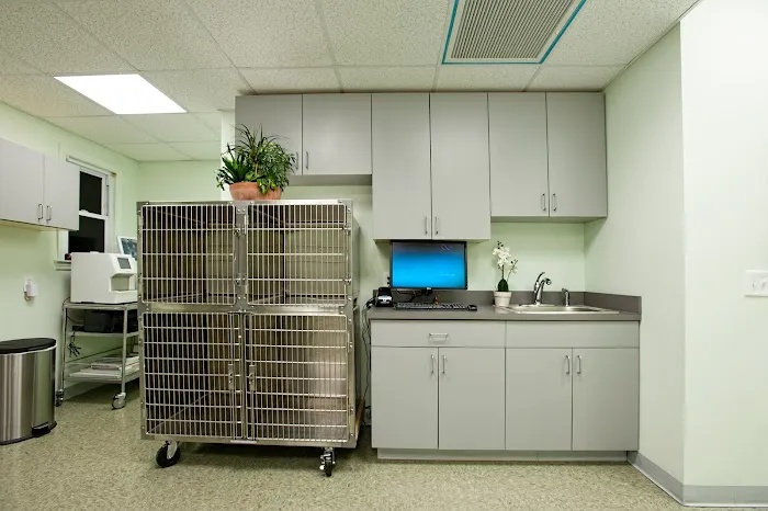 Veterinary Wellness Center of Glen Rock 12