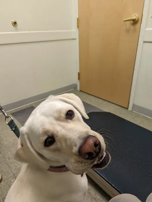 Veterinary Wellness Center of Glen Rock 12
