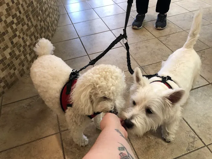Midland Park Veterinary Hospital 4