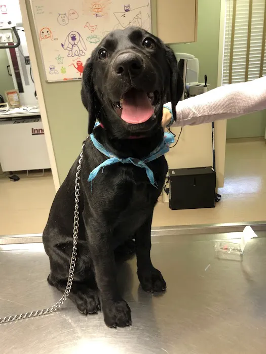 Midland Park Veterinary Hospital 9