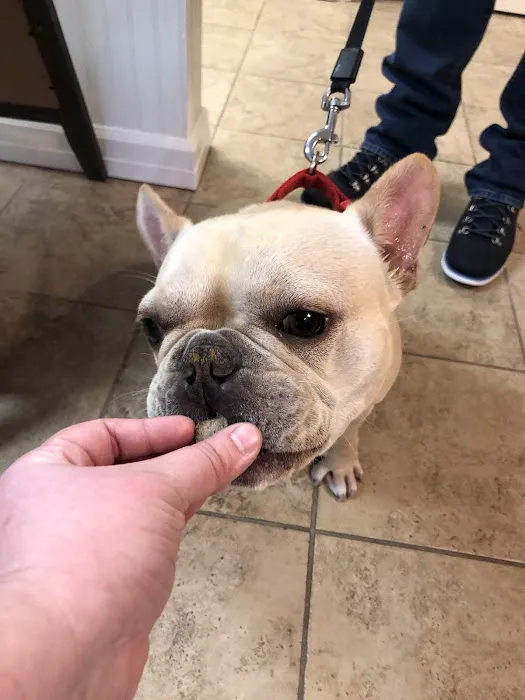 Midland Park Veterinary Hospital 7