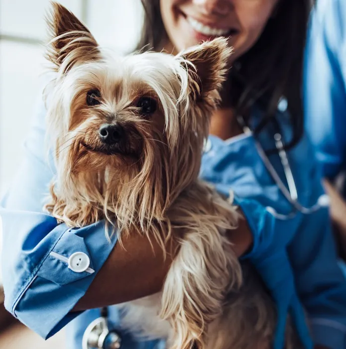 Midland Park Veterinary Hospital 6