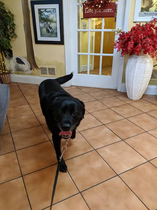 Glen Rock Veterinary Hospital 5