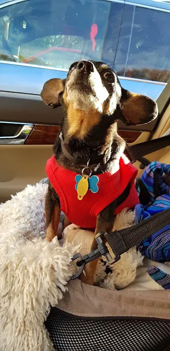 Glen Rock Veterinary Hospital 9