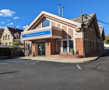 VCA Ridgewood Veterinary Hospital