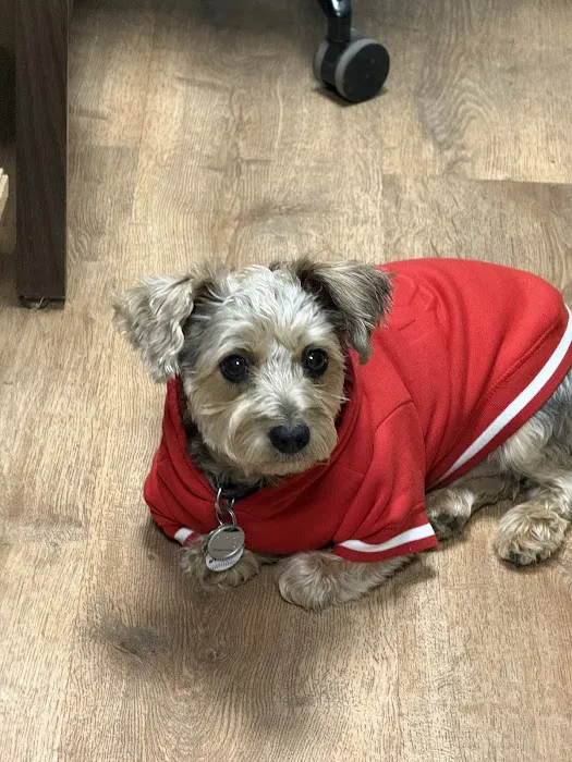 VCA Ridgewood Veterinary Hospital 6