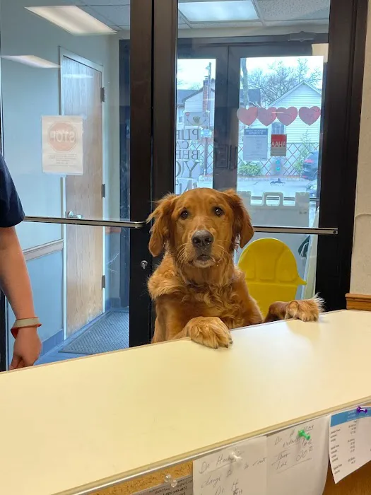 VCA Ridgewood Veterinary Hospital 5