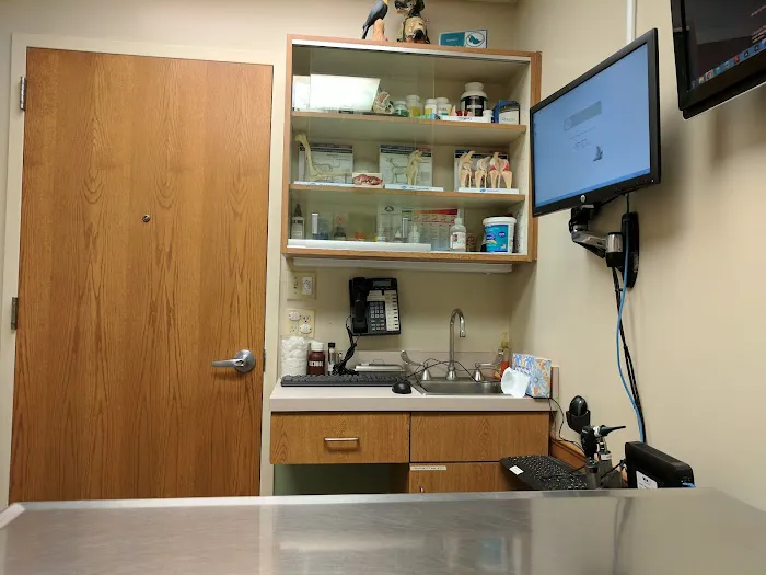VCA Ridgewood Veterinary Hospital 7