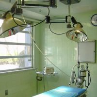 Foster Animal Hospital ico