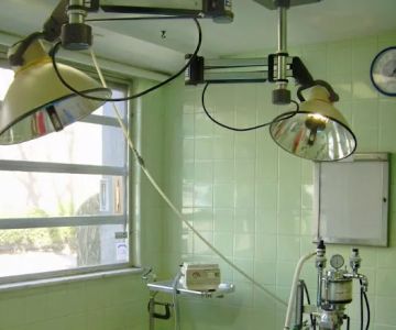 Foster Animal Hospital
