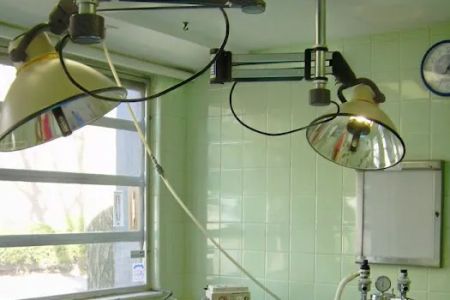 Foster Animal Hospital