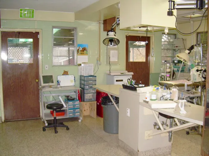 Foster Animal Hospital 6
