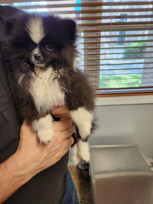 Foster Animal Hospital 8
