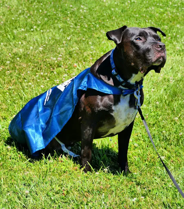 PetCure Oncology at Veterinary Radiosurgery and Imaging Center 12