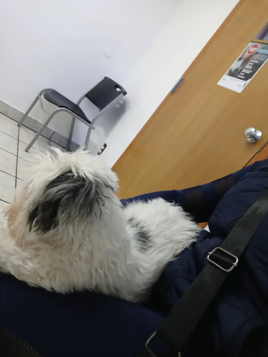 Eastside Veterinary Hospital 1