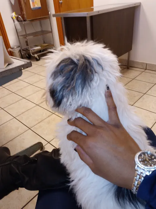 Eastside Veterinary Hospital 5