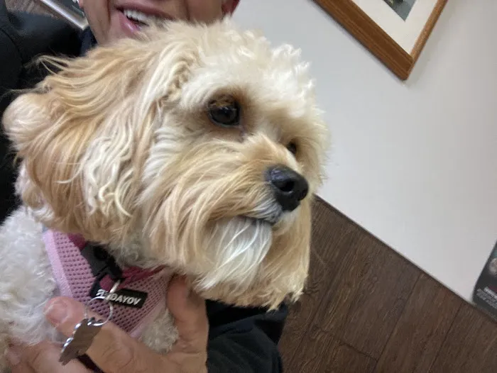 North Suburban Veterinary Hospital 2