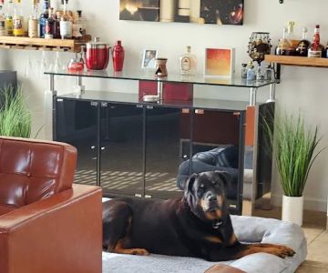 Animal Emergency & Crtcl Care: Christiansen Jeff DVM