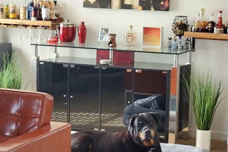 Animal Emergency & Crtcl Care: Christiansen Jeff DVM