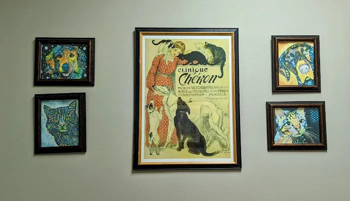 Animal Emergency & Crtcl Care: Christiansen Jeff DVM 12