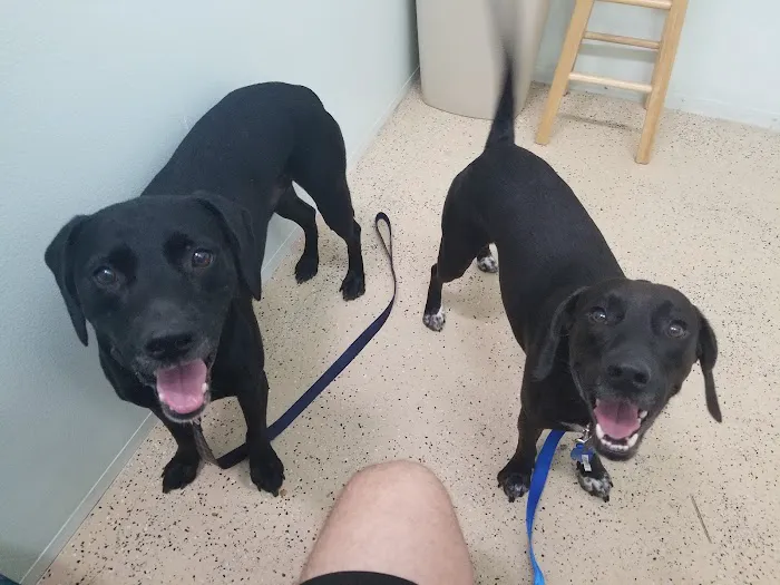 Brevard Aid To Animals 3