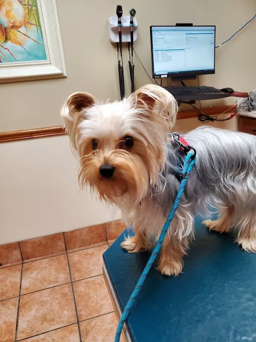 Aloha Pet and Bird Hospital 3