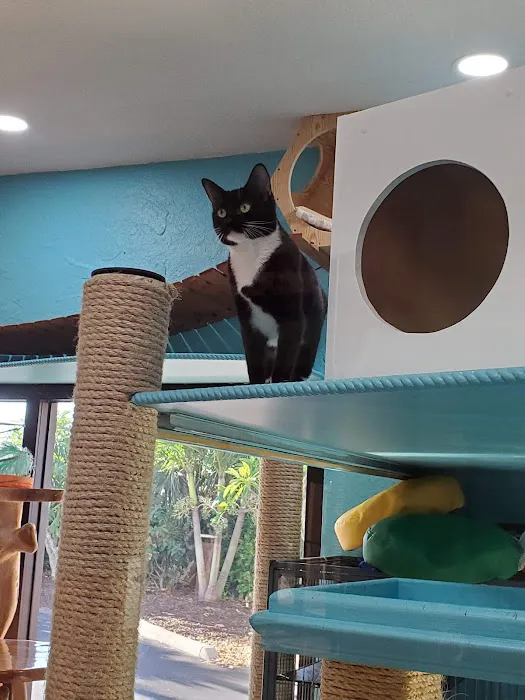 Aloha Pet and Bird Hospital 9